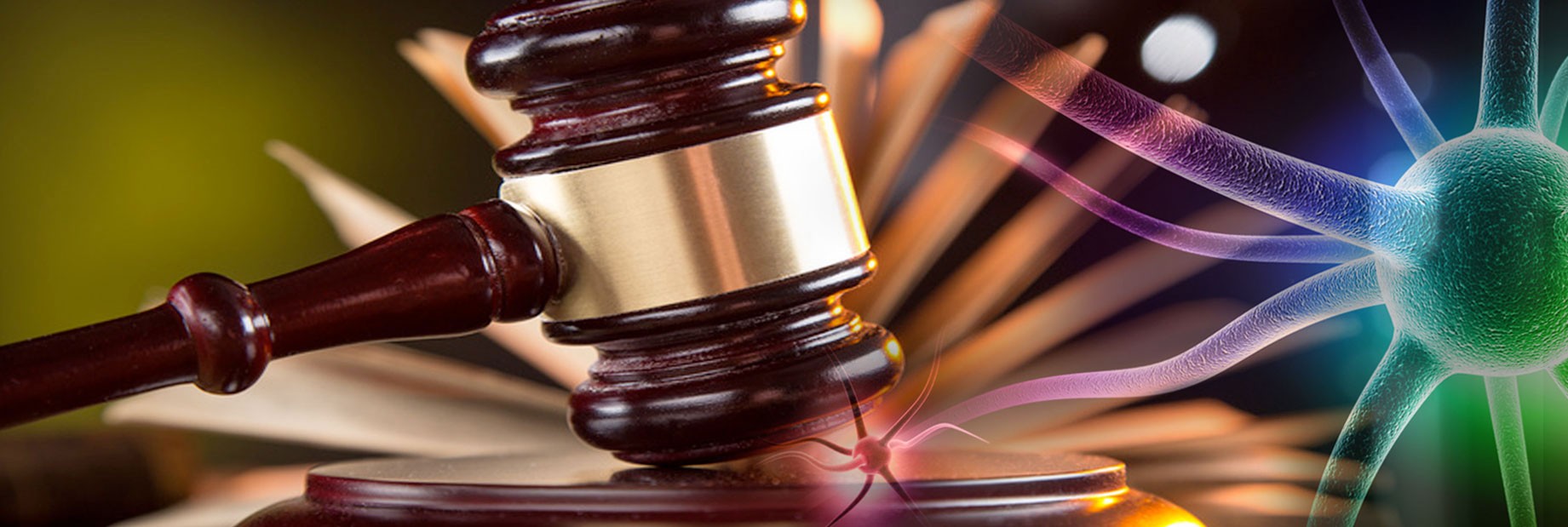 3b-Neurocognitive-Associates-Forensic-Services